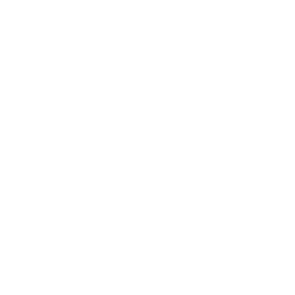 Metah Nomis
