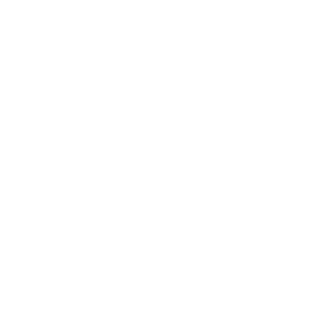 Les Mauvais Garçons