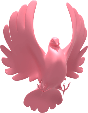Pigeon en 3D